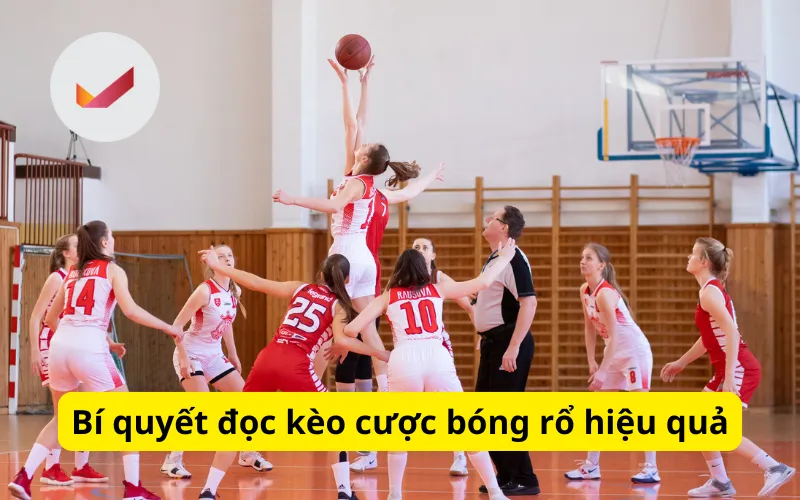 Bí quyết đọc kèo cược bóng rổ hiệu quả