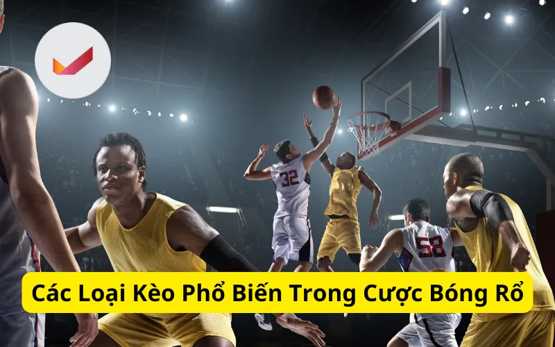 Các Loại Kèo Phổ Biến Trong Cược Bóng Rổ