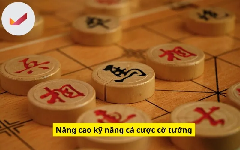 Nâng cao kỹ năng cá cược cờ tướng