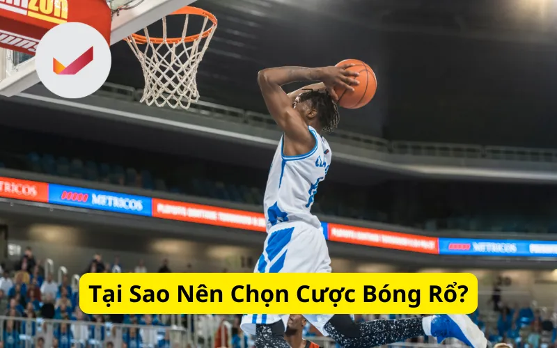 Tại Sao Nên Chọn Cược Bóng Rổ?