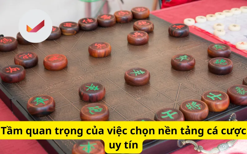 Tầm quan trọng của việc chọn nền tảng cá cược uy tín