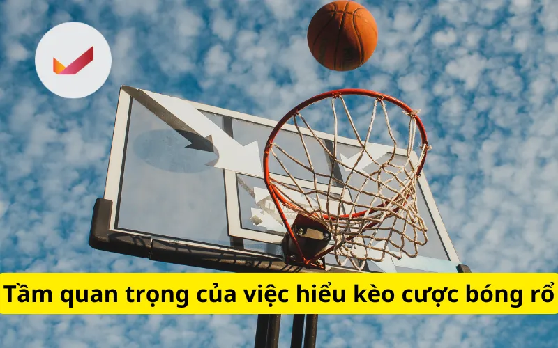 Tầm quan trọng của việc hiểu kèo cược bóng rổ