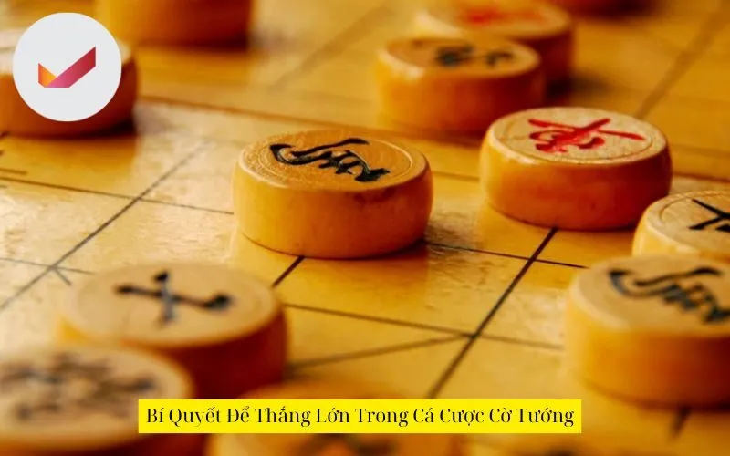 Bí Quyết Để Thắng Lớn Trong Cá Cược Cờ Tướng