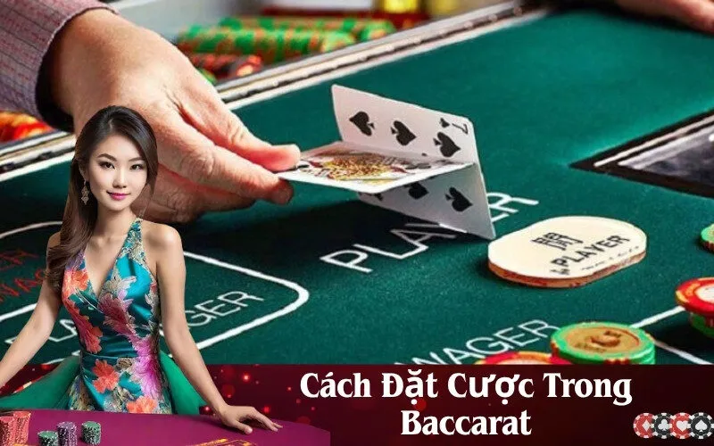 Cách Đặt Cược Trong Baccarat
