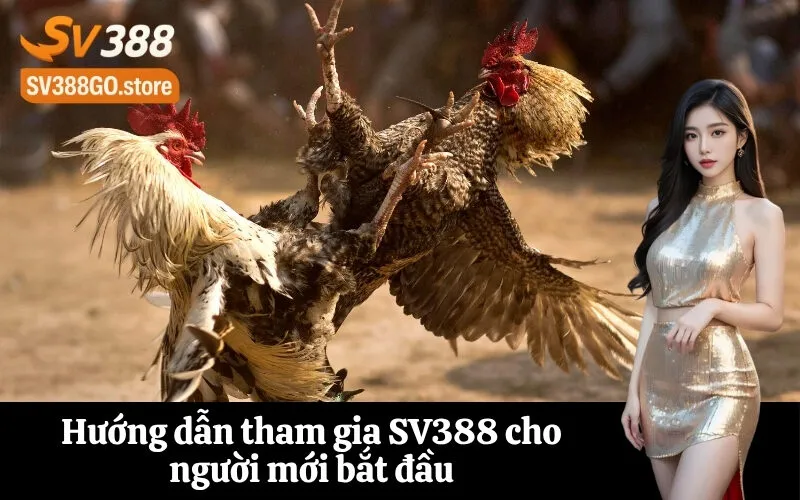 Hướng dẫn tham gia SV388 cho người mới bắt đầu