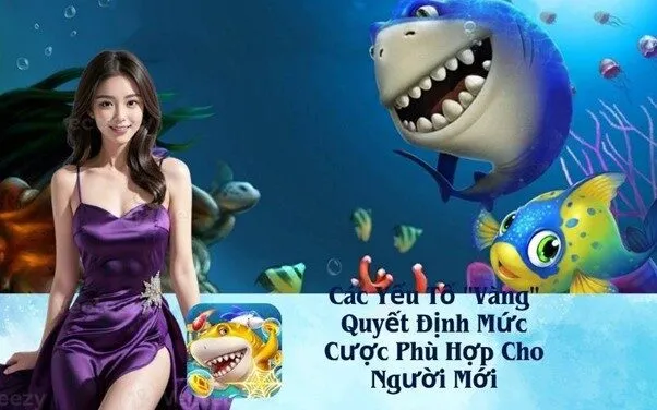 Các Yếu Tố "Vàng" Quyết Định Mức Cược Phù Hợp Cho Người Mới