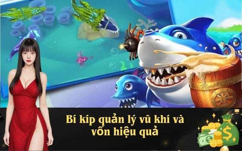 Bí kíp quản lý vũ khí và vốn hiệu quả